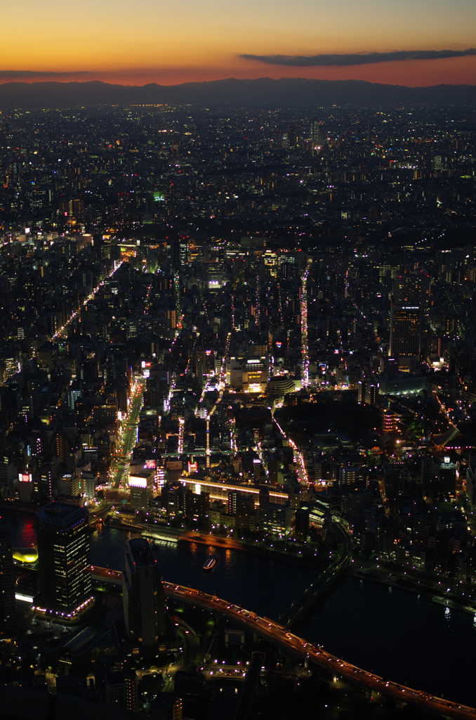 スカイツリーからの夕景