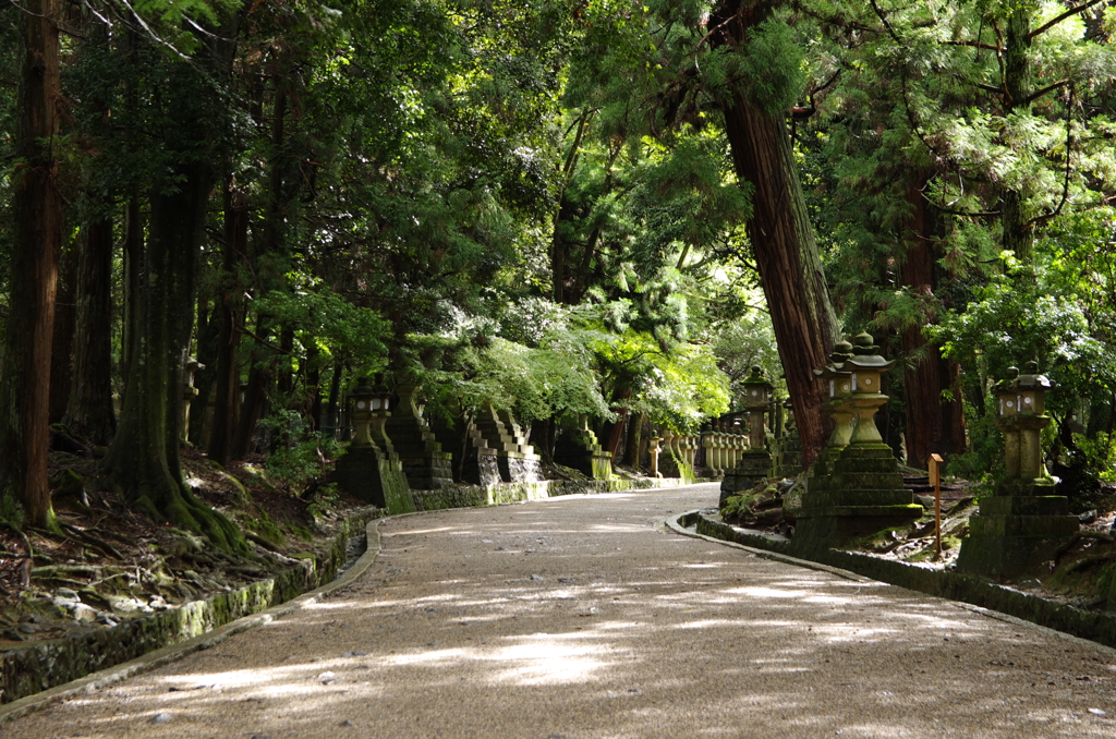 春日大社参道