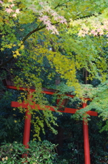 鳥居