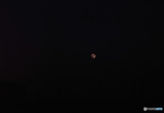 赤い満月