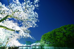 夜の小田原にて