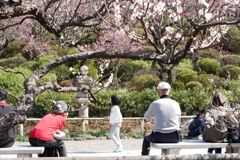 春爛漫