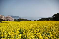 能古島アイランドパーク