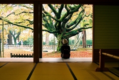 雷山千如寺大悲王院