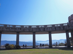 P2241917 (2)