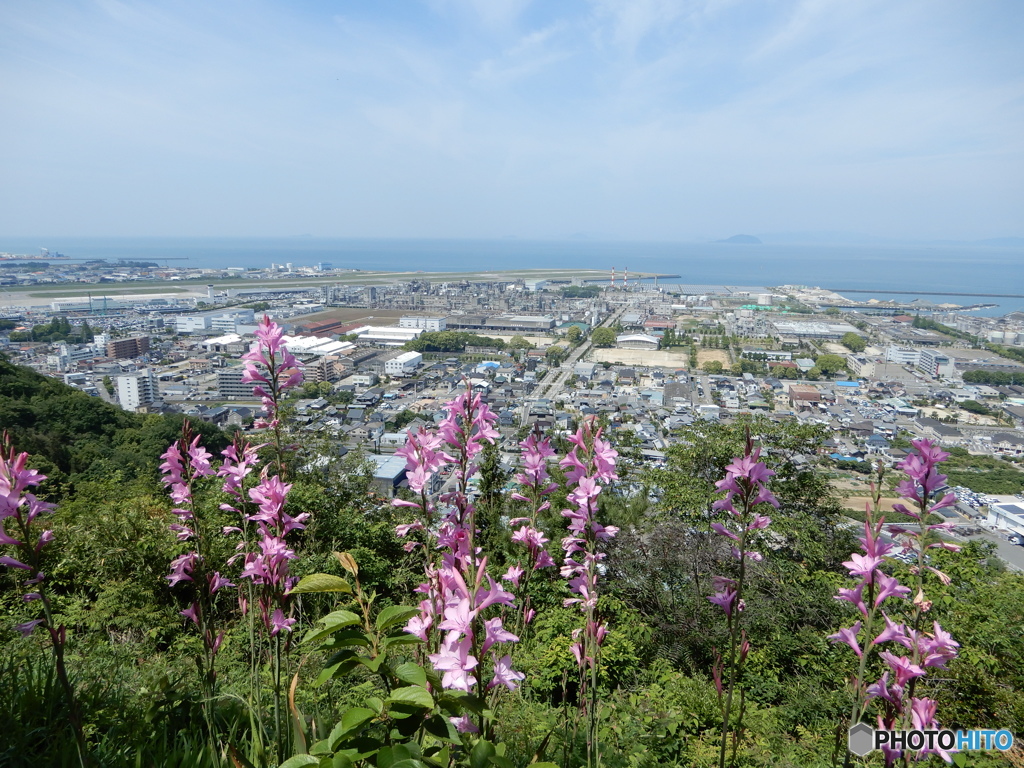 ウォーキング　里山からの眺め　3