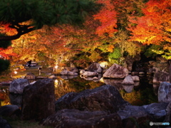 二の丸庭園　ライトアップ