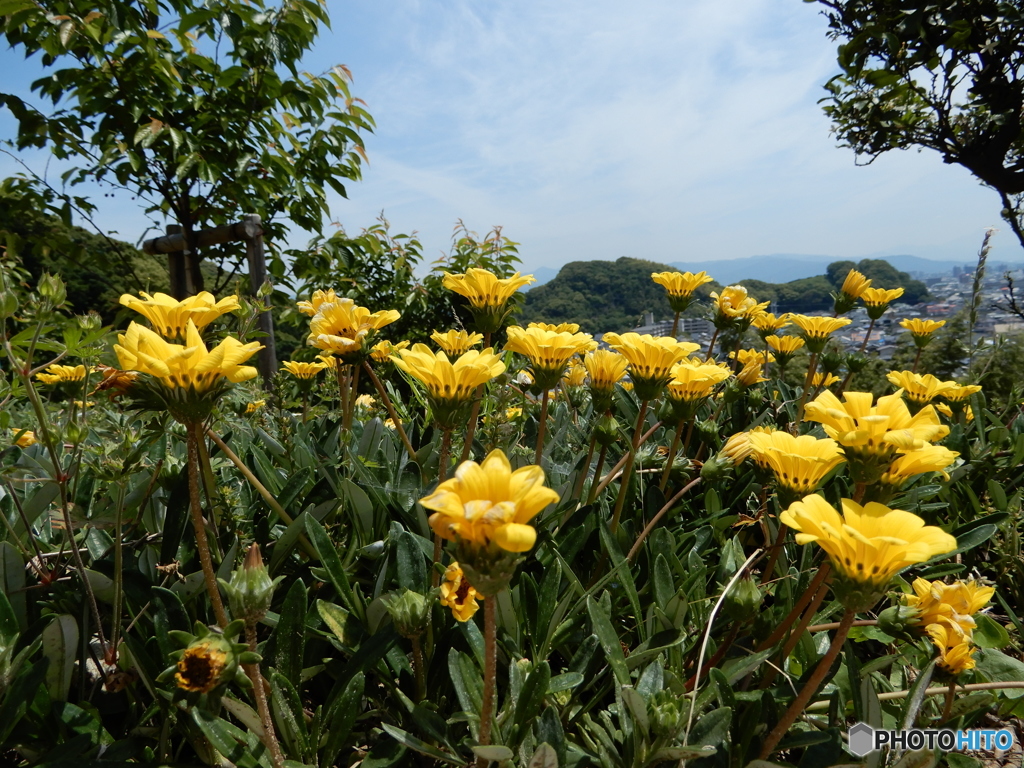 ウォーキング　山頂にて　1