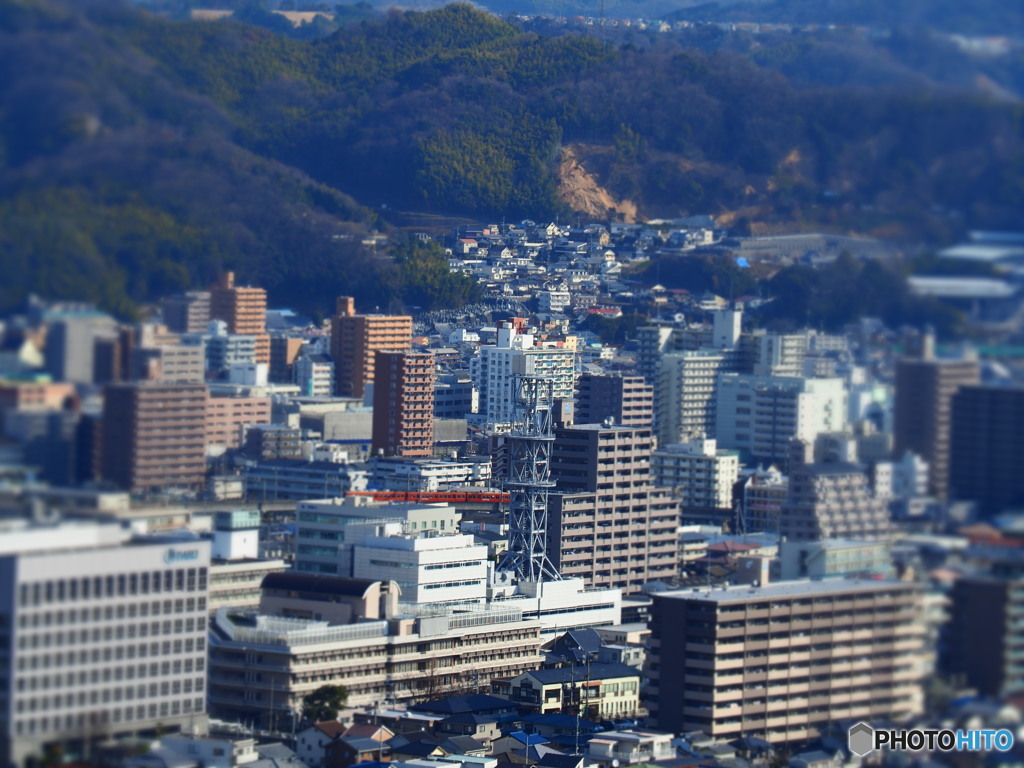 公園ウォーキング　山頂　2