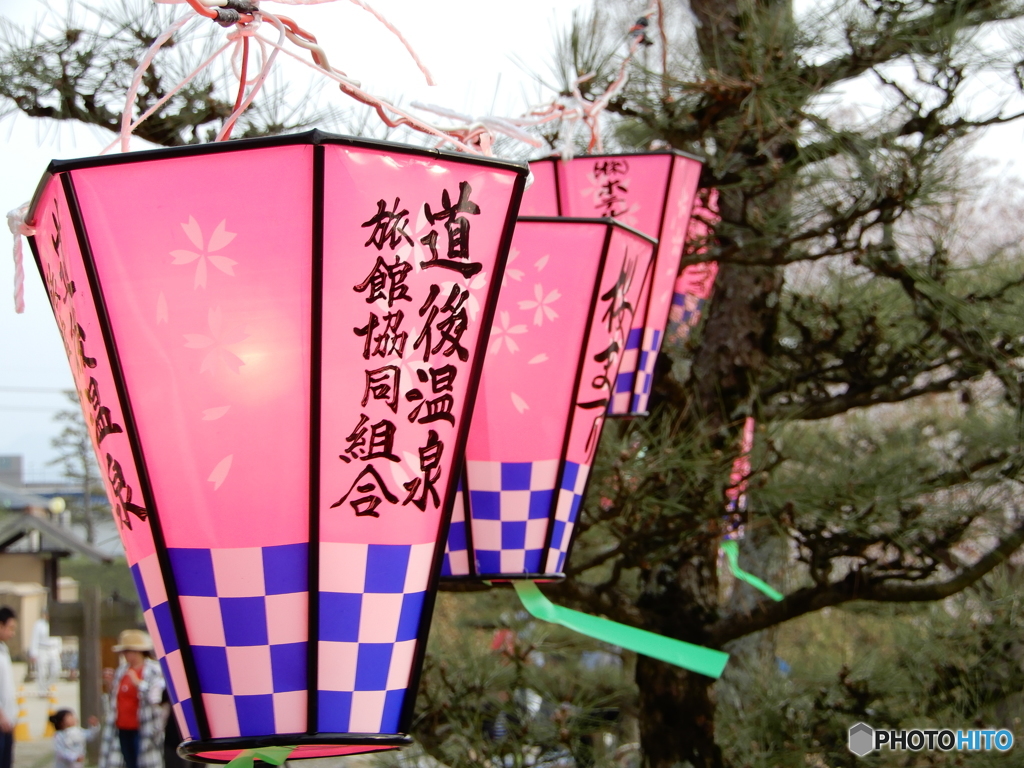 今年の桜まつりも終わりに・・・