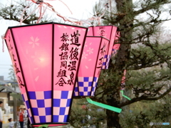 今年の桜まつりも終わりに・・・