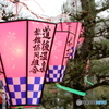 今年の桜まつりも終わりに・・・