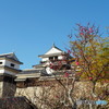 城と紅梅