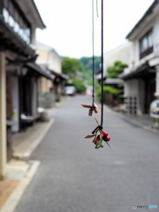 伝統的街並み保存地区　ウォーキング　2