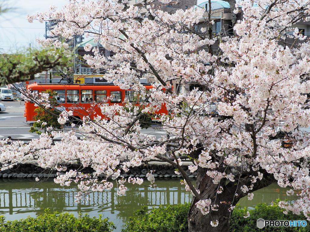 花電車　2