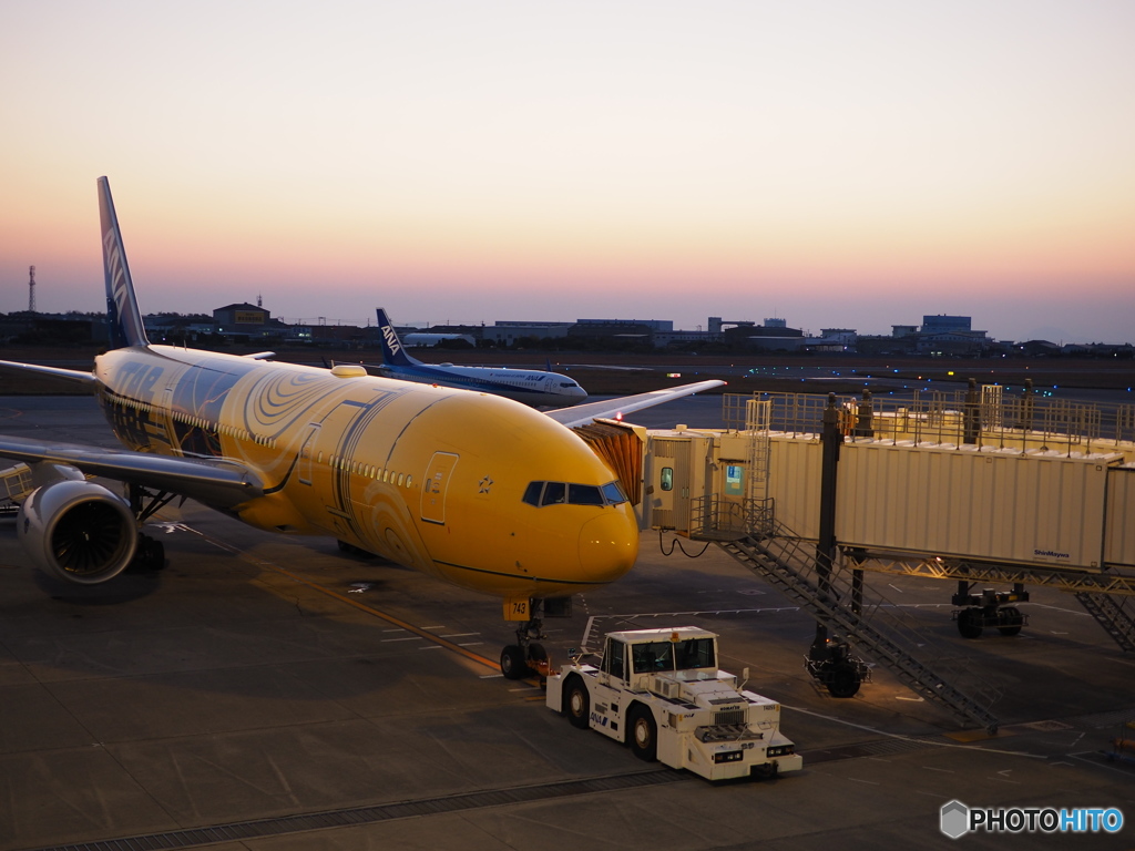 ウォーキング　日暮れの空港　2