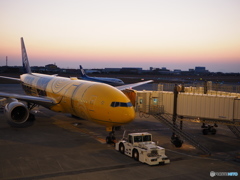 ウォーキング　日暮れの空港　2