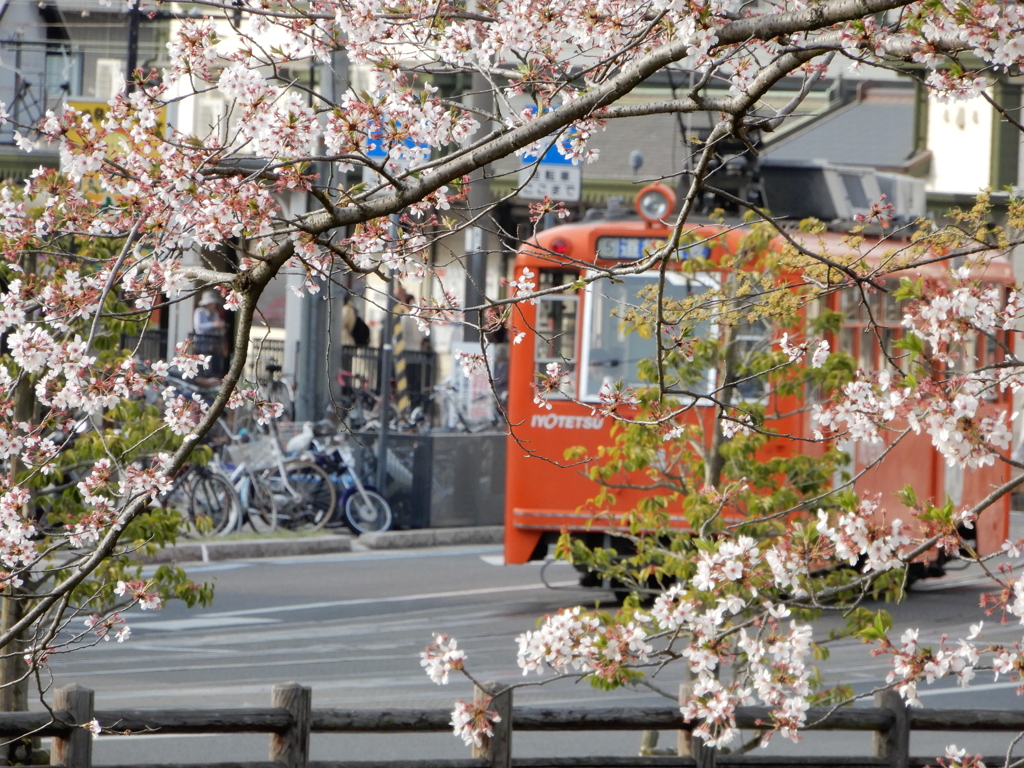 花電車