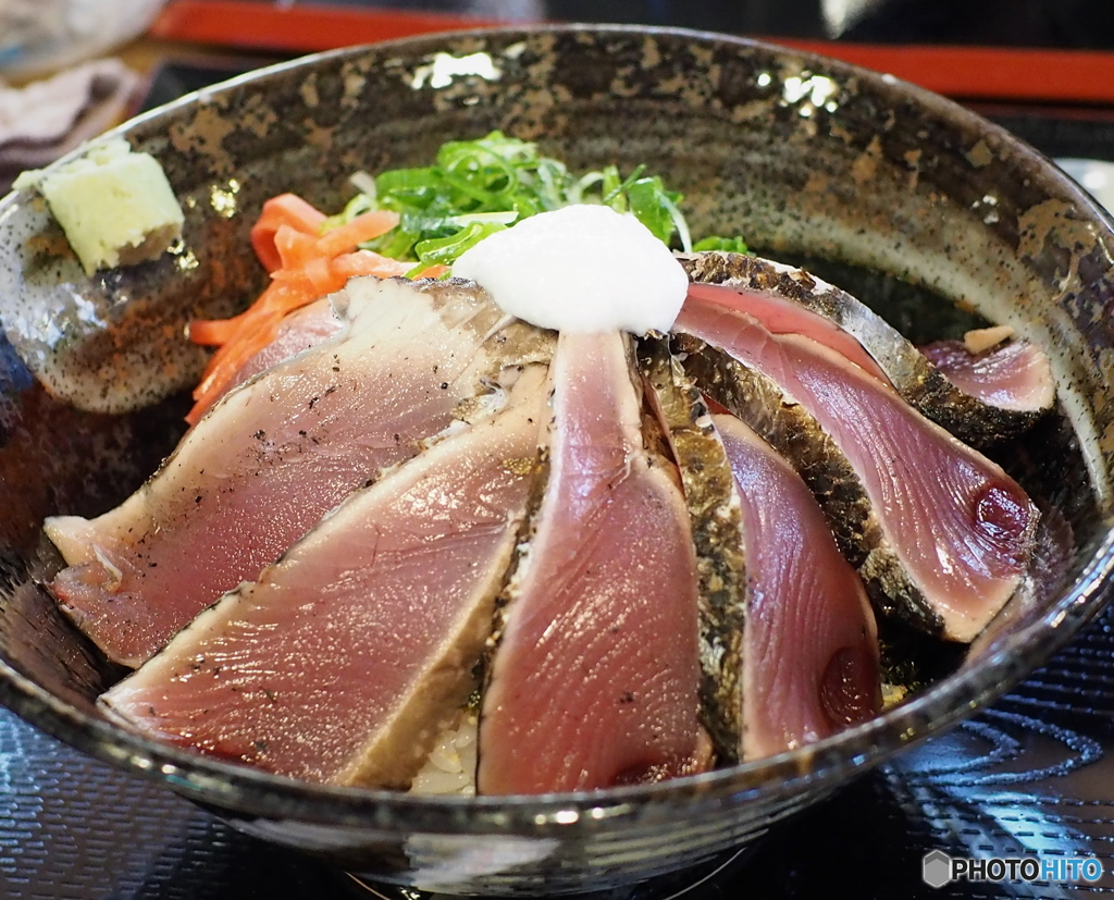 土佐日記・カツオを求めて　5