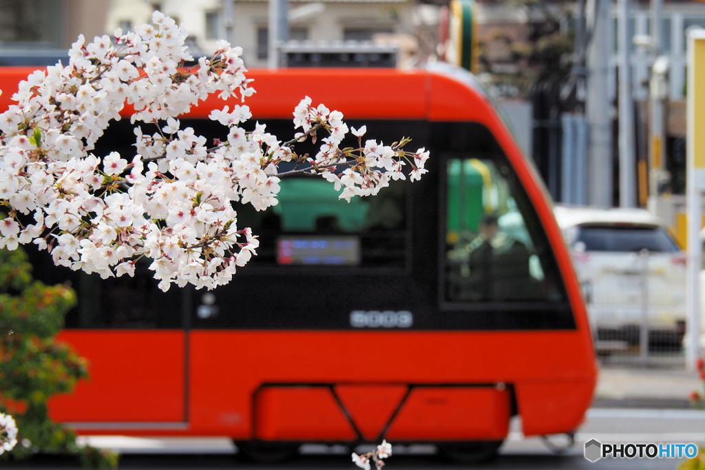 花電車　1