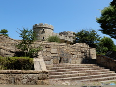 ウォーキング　近くの山の公園にて　1