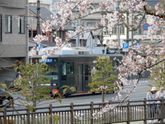 花電車