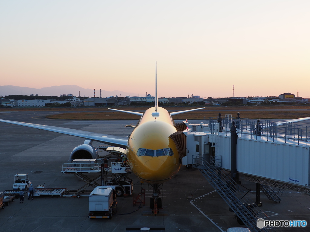 ウォーキング　日暮れの空港　1