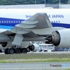 朝のウォーキング　滑走路周辺10