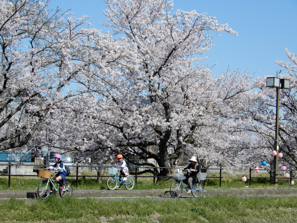 サイクリング