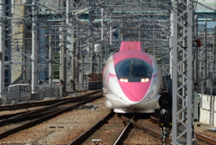 Hello Kitty Shinkansen