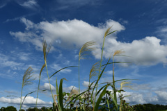 秋空