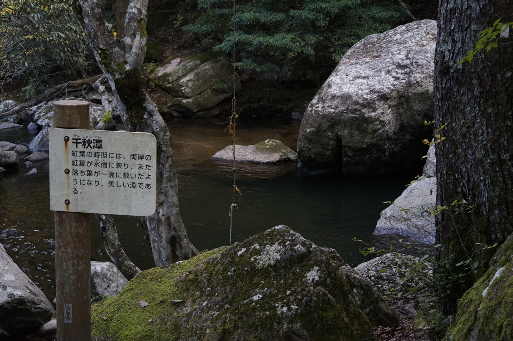 渓谷の淵