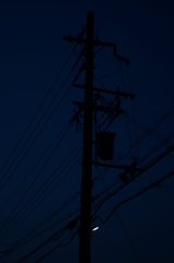 夜の電柱