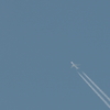 飛行機