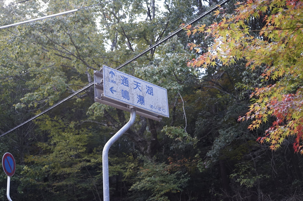 渓谷の看板