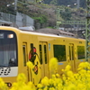 YELLOW HAPPY TRAIN 