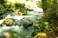 静岡