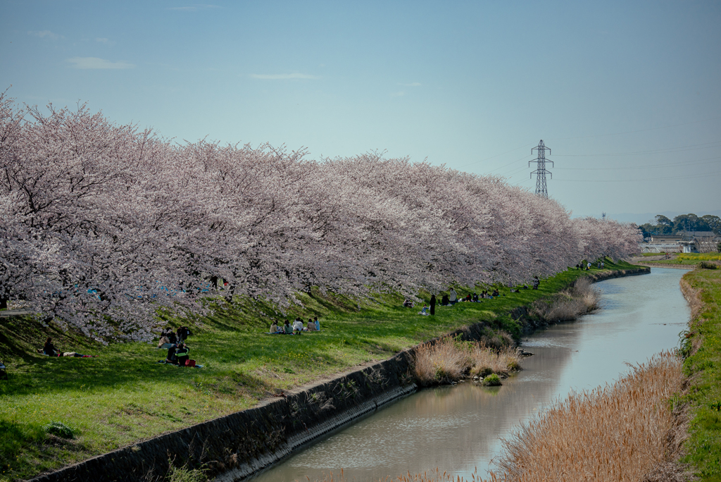 福岡県　浮羽町　流川