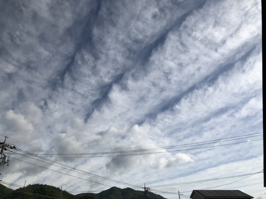 雨上がりの翌朝