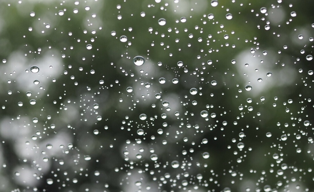 水玉の中の世界