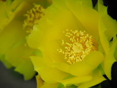 ひかえめに