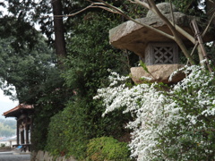 記録でしかない写真たち