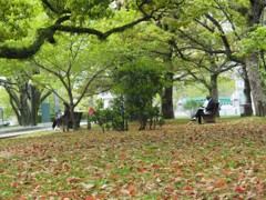 平和公園のひと時