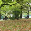 平和公園のひと時