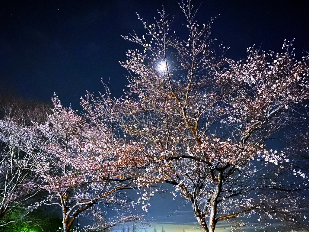 寒空