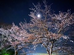 寒空
