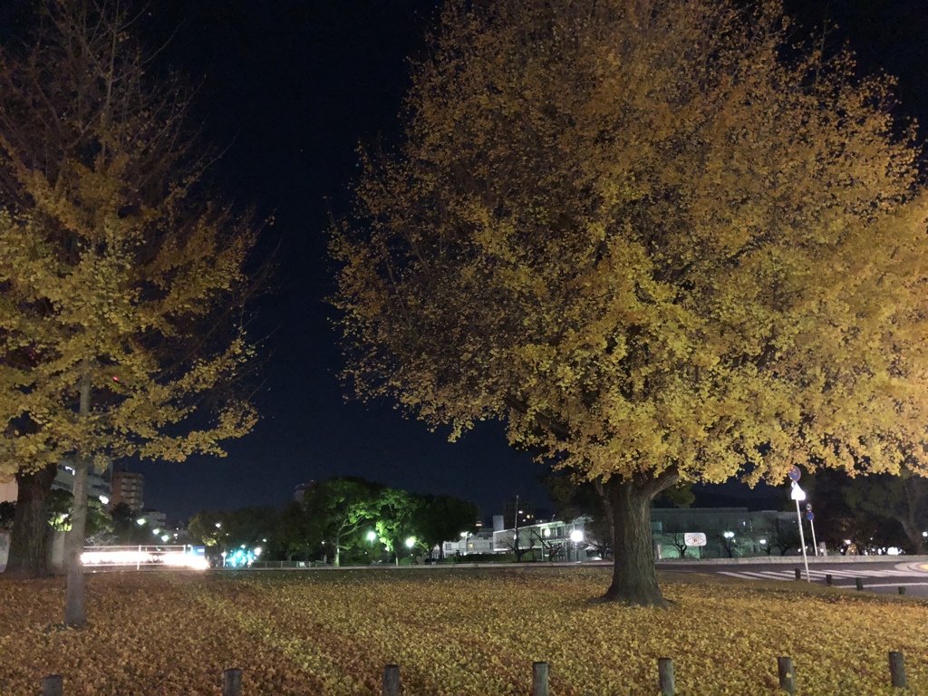 秋の思い出