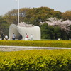 慰霊碑と桜