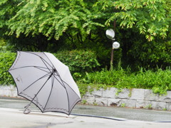 梅雨はまだよね?