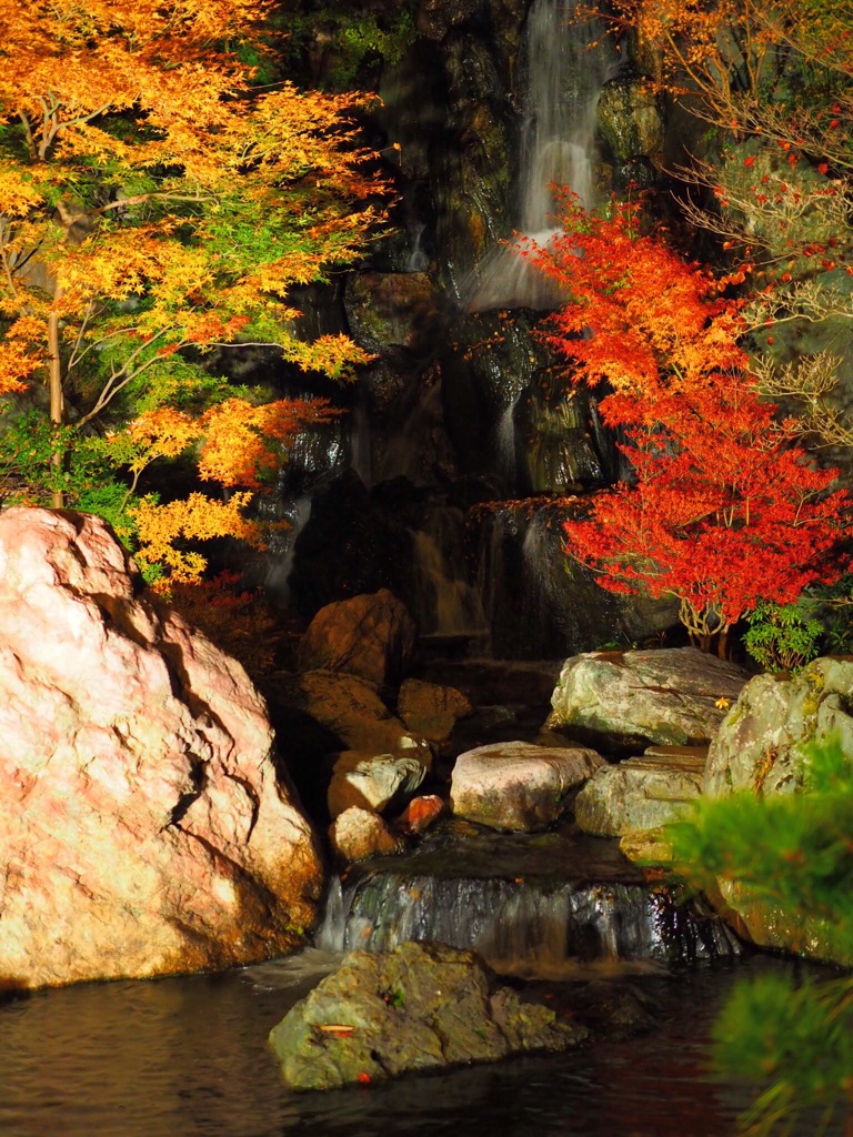 紅葉と滝